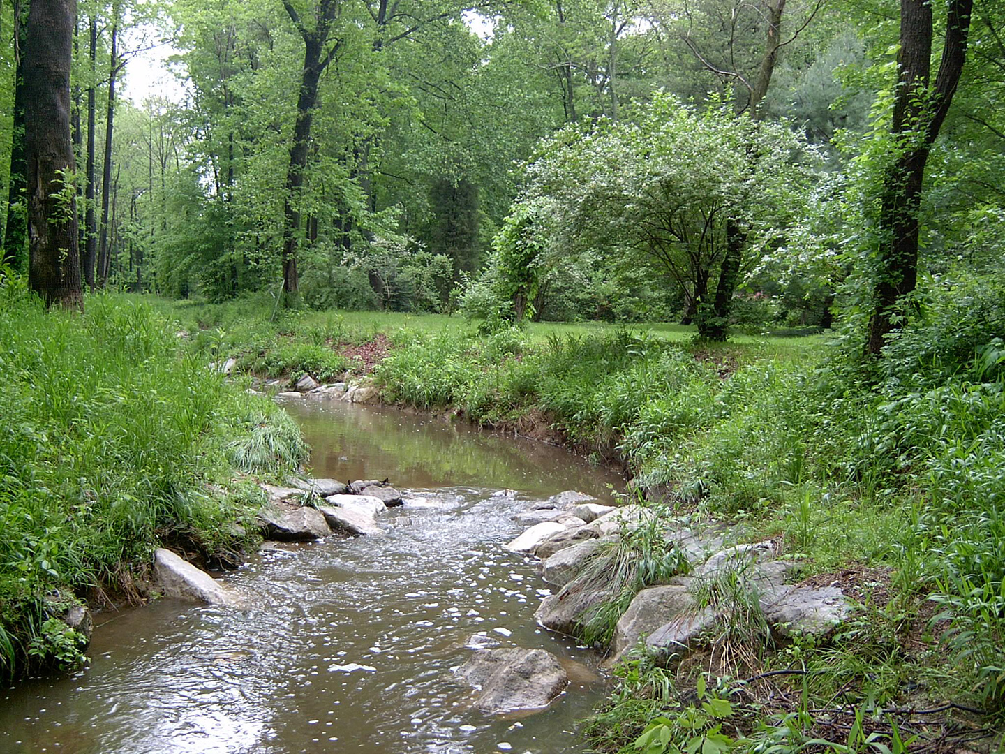 The Accotink Creek Stream Restoration in Fairfax County, Virginia is an example of a project that can serve as a nutrient credit bank.  
