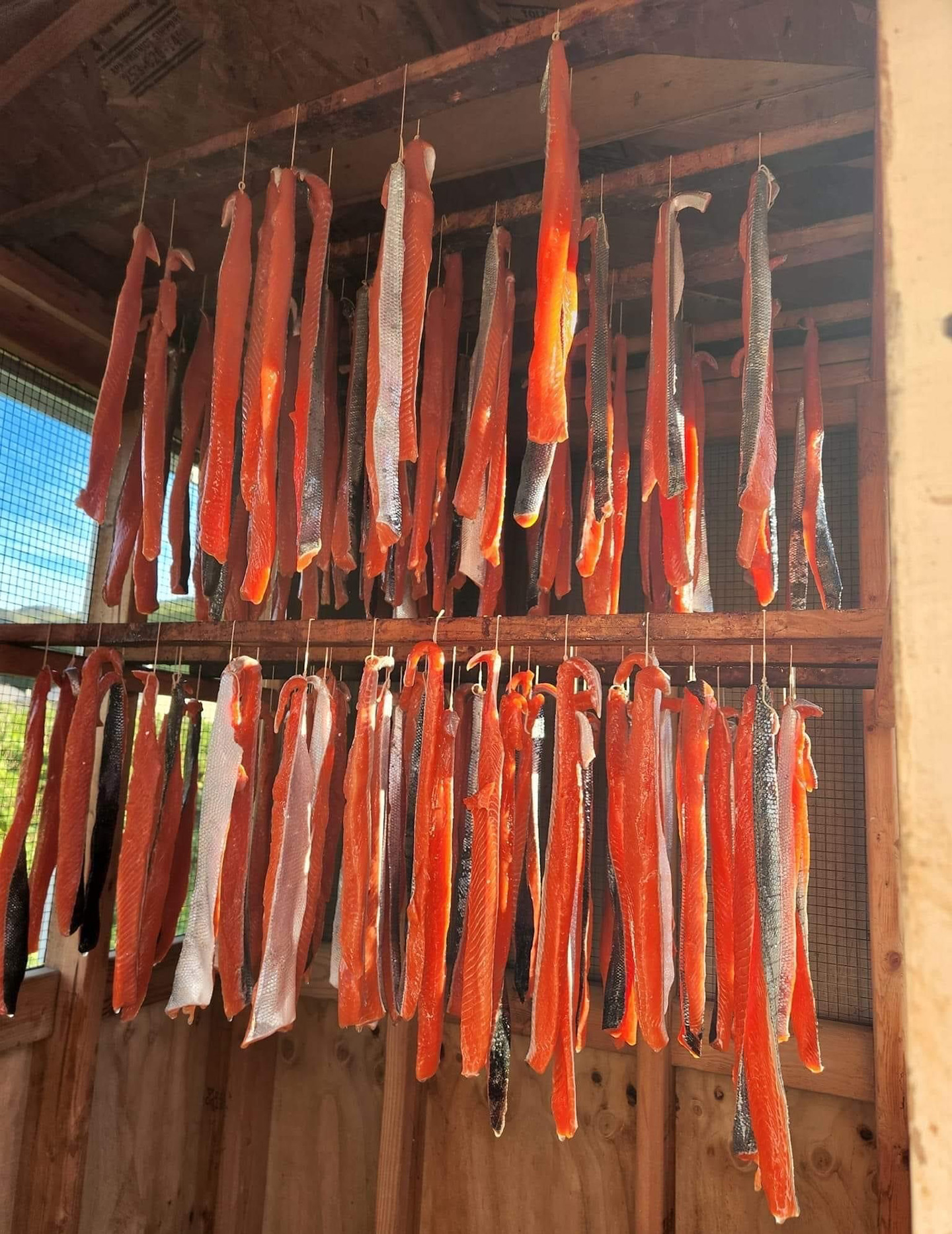 Strips of salmon hanging in a drying shed. 