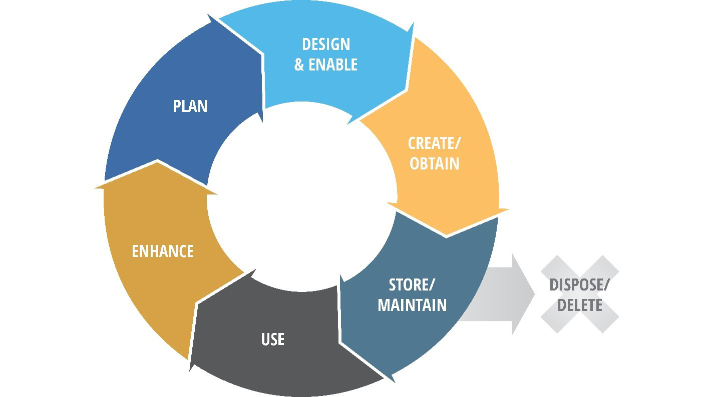 Data Management Plan Cycle