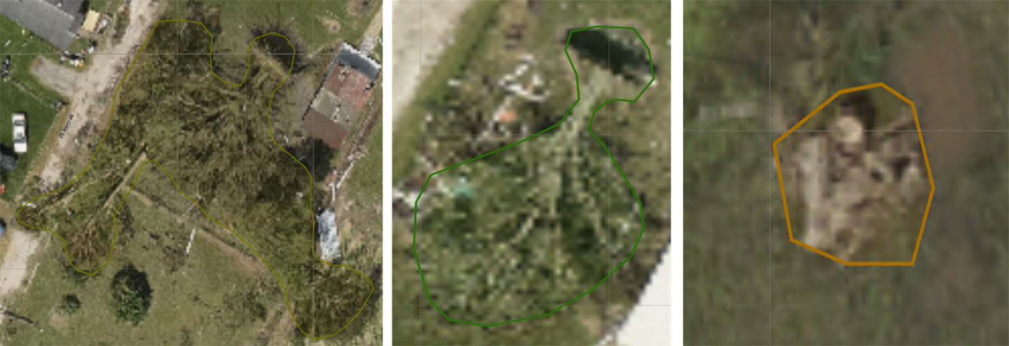 Downed trees were divided into three sub-labels, including tree stumps (left image), individual downed tree (center image), and groups of downed trees (right image). 