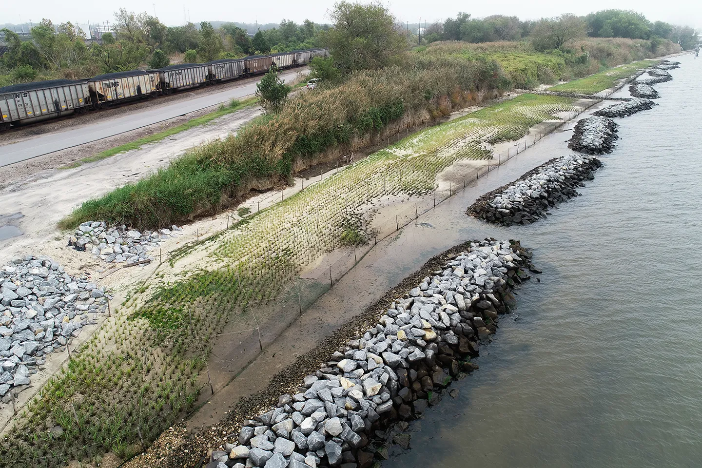 A closer look at the breakwater and plantings for the Elizabeth River Living Shoreline project.