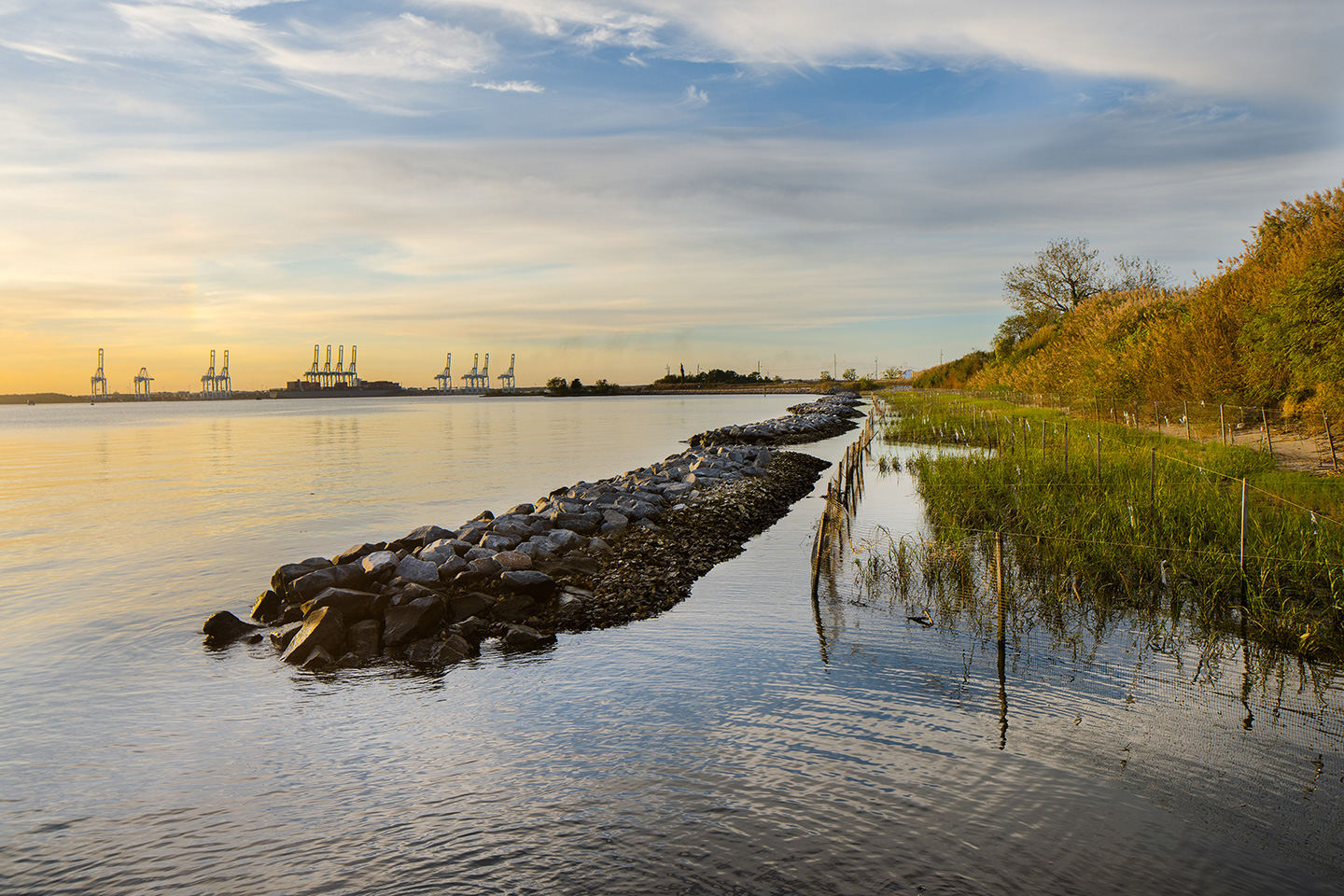 Elizabeth River Living Shoreline