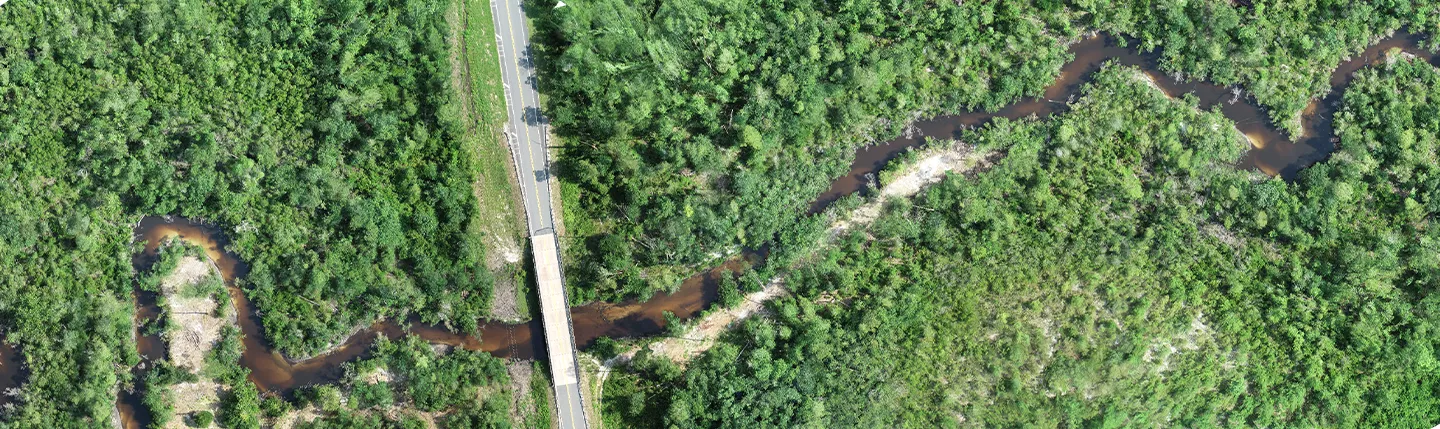 Aerial view of improved stream conditions, following debris removal by the Northwest Florida Water Management District in Calhoun County, following Hurricane Michael.