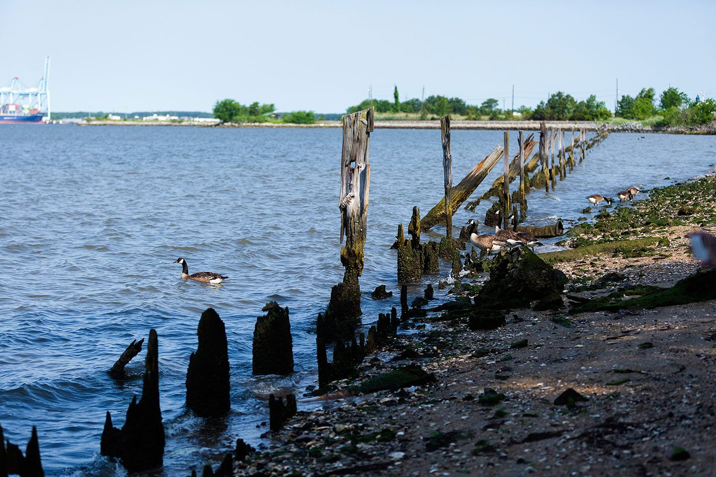 The pre-construction conditions depict a historical bulkhead that shows how much of Norfolk Southern’s property has eroded.