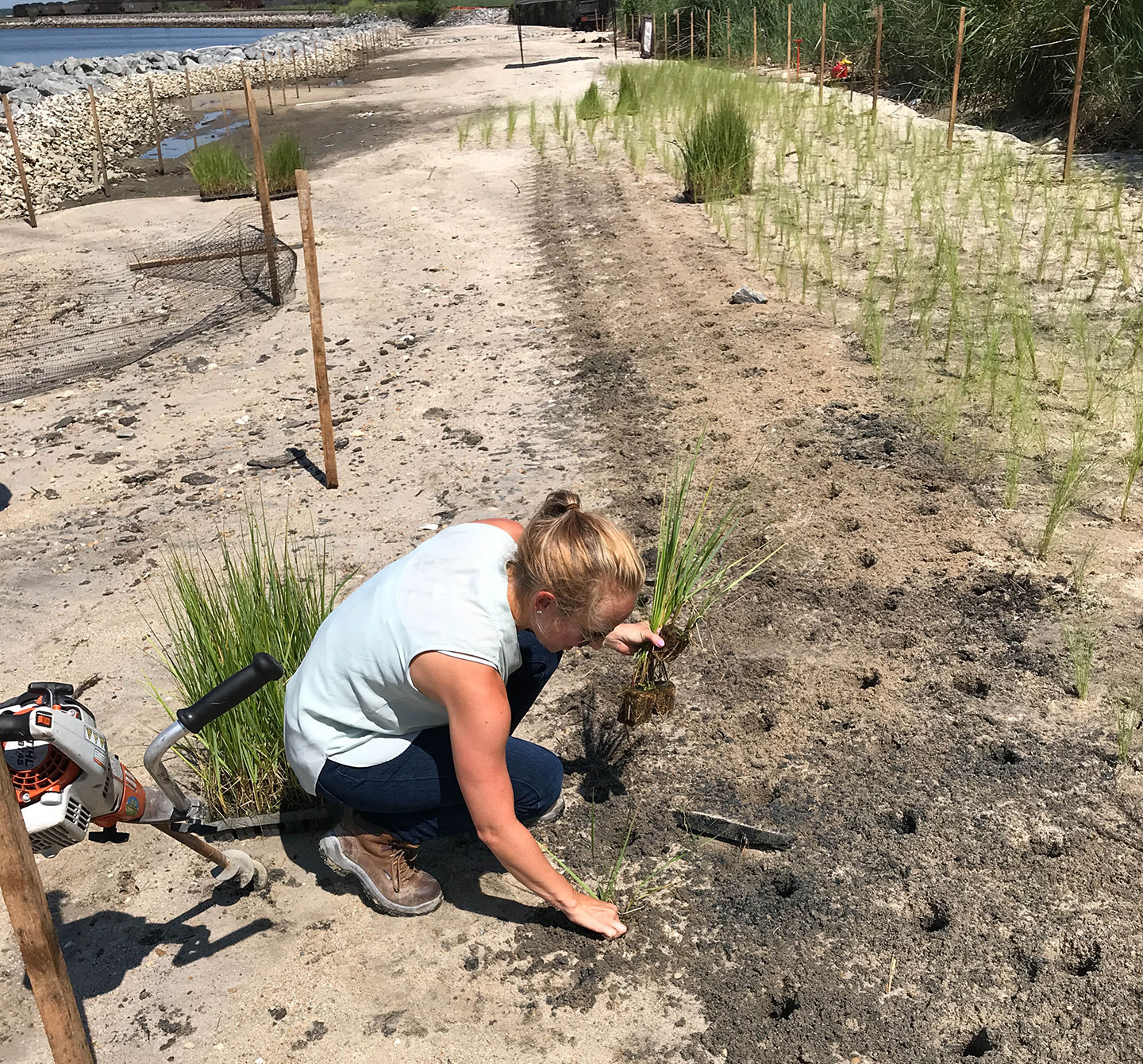 Our team helping subcontractor Emerald Forest with wetland vegetation plantings.