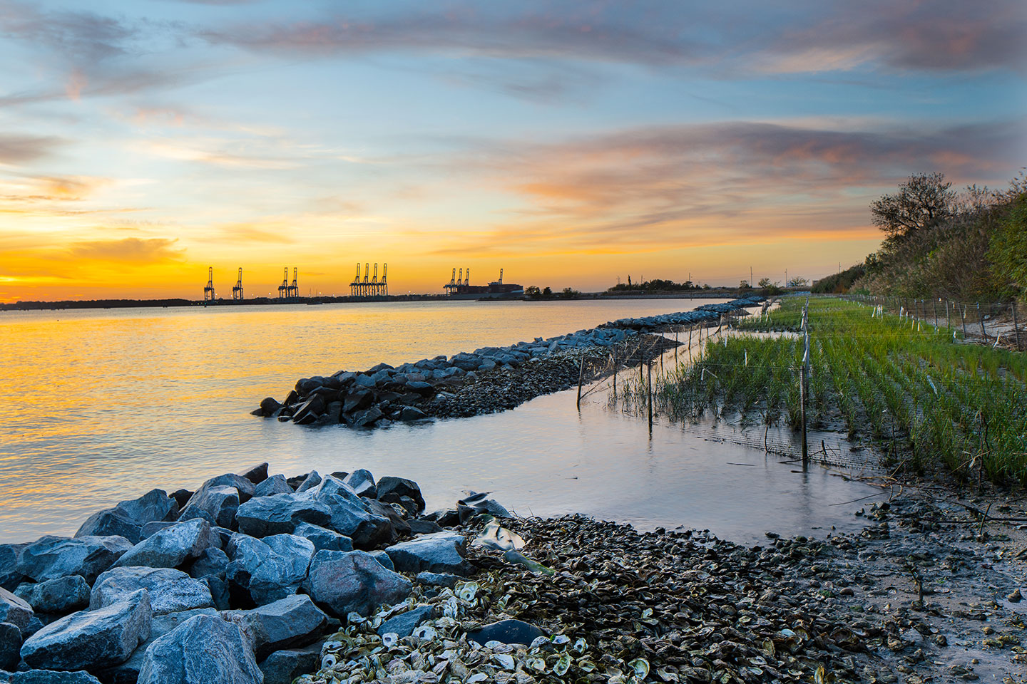 The living shoreline at the Lamberts Point Terminal helps bring the natural system back into balance, while protecting critical infrastructure and reclaiming lost land.