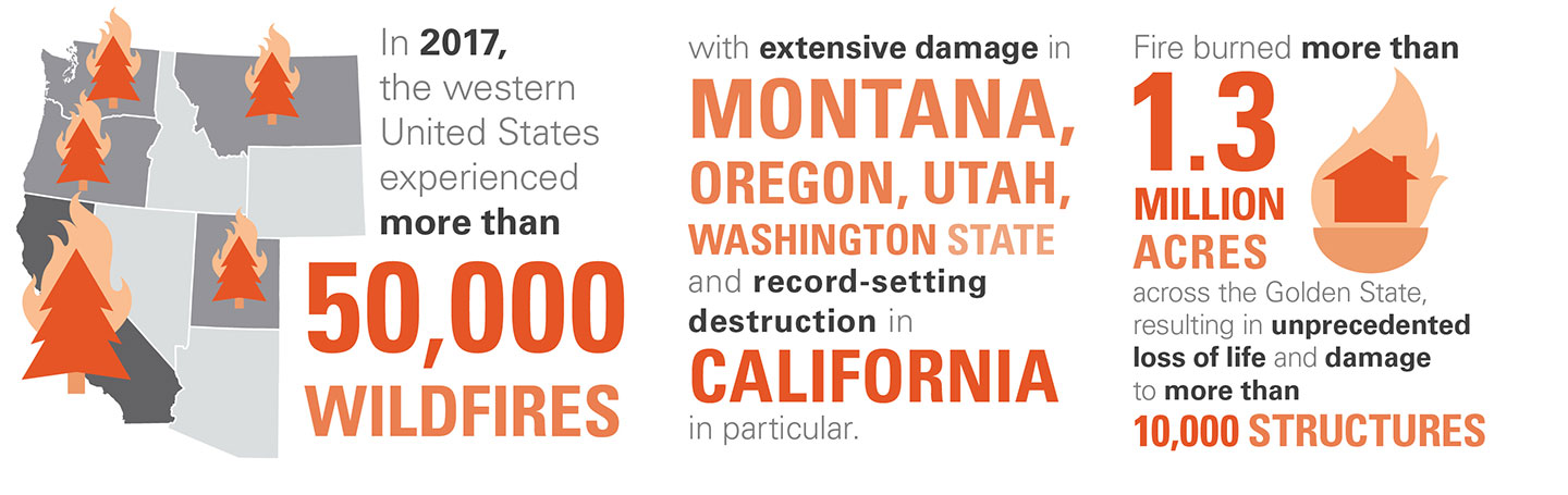 Mitigating the Risk of Wildfires Mitigating the Risk of Wildfires