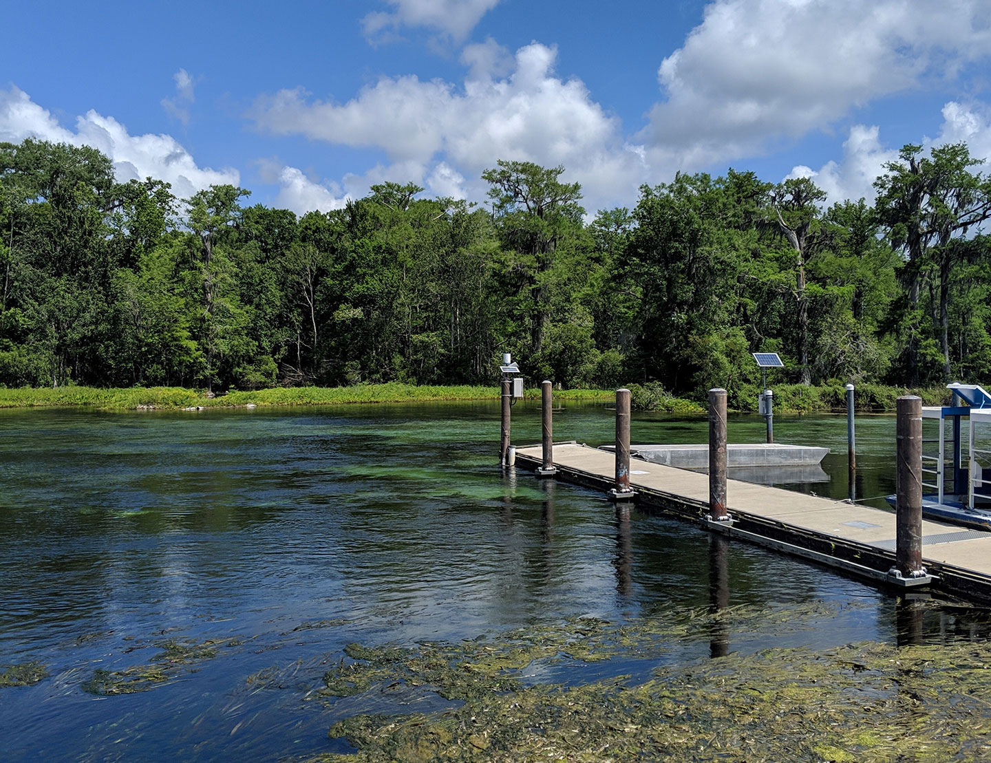 Wakulla Springs