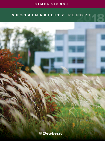 2018-ExternalSustainabilityReport_website_thumbnail