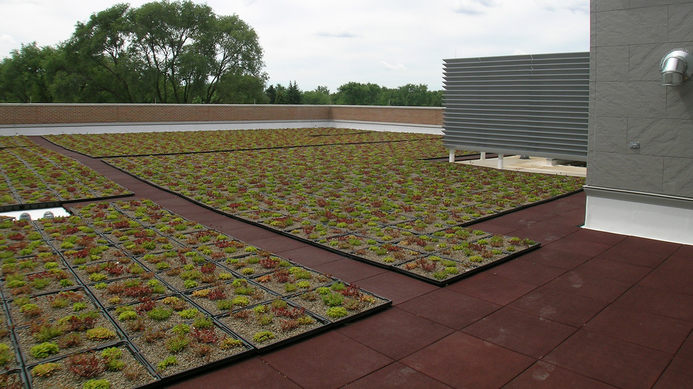 A garden roof reduces the amount of energy required for cooling and the amount of stormwater runoff.