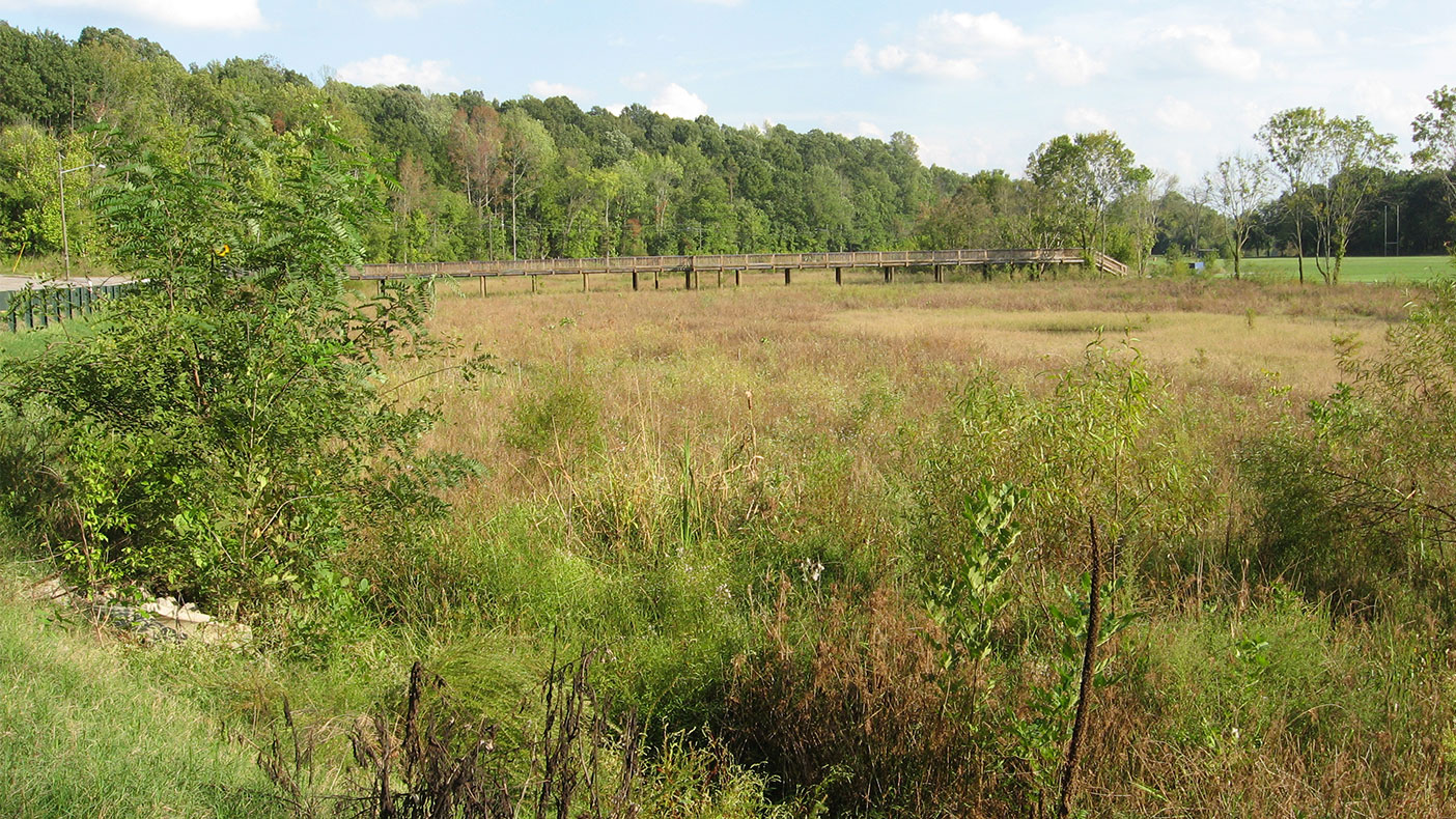 After construction was complete, we continued wetland monitoring services, which included scheduled monitoring of the success of the wetland design and implementation photographic documentation.