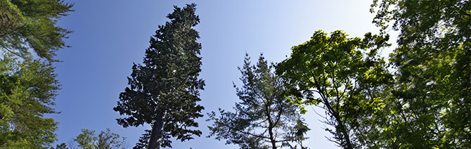 20YDT-Blog-2 20YDT-Blog-2