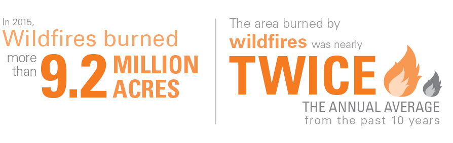 Wildfire Infogrpahic Wildfire Infogrpahic