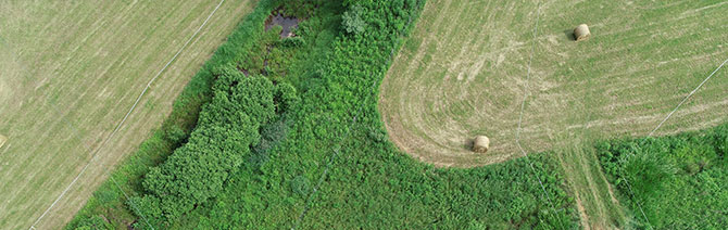 Aerial Photograph