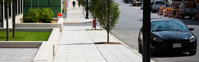 Newly constructed streetscape along Route 1A.