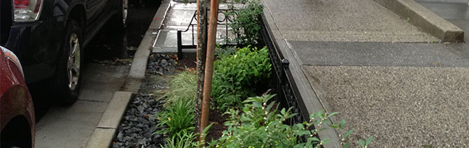 Bioswales Bioswales