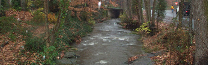 Flood Blog Image 2