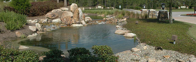 Florida Spring Protection Florida Spring Protection