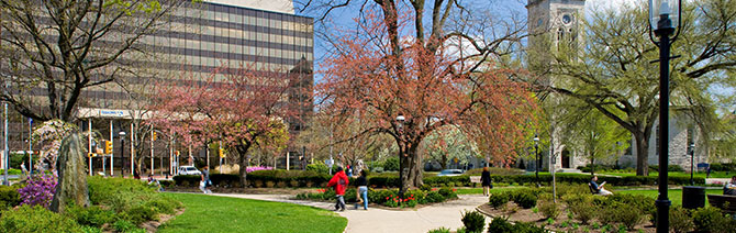 According to a 2015 Journal of Environmental Quality by Bryant Scharenbroch, Justin Morgenroth, and Brian Maule, “Trees in bioswales reduce runoff and discharge and return stored water to the atmosphere.”