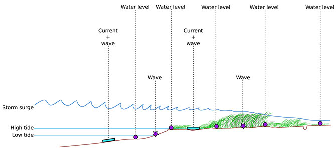 Lawler_Graph Graph of attenuation of water levels as surge moves through a marsh wetland from field monitoring in coastal wetlands of the U.S. mid-Atlantic to support quantification of storm surge attenuation at the regional scale: AGU Fall Meeting, 2015.