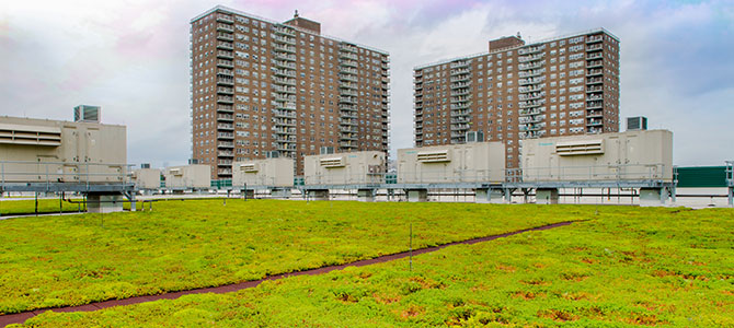 Mother Clara Hale Bus Depot