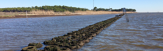Protecting NC's Shorelines 2 Protecting NC's Shorelines 2