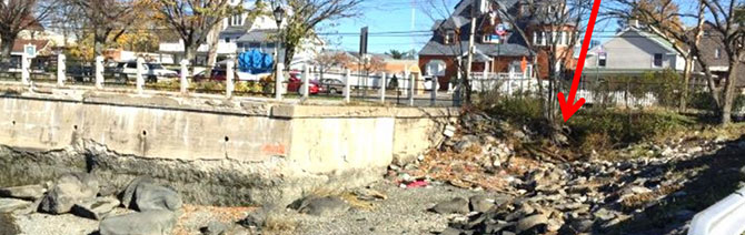 This view is the exit side of the staging area showing the bulkhead and cove area. The team avoided any interference with the bulkhead on the City Island side.