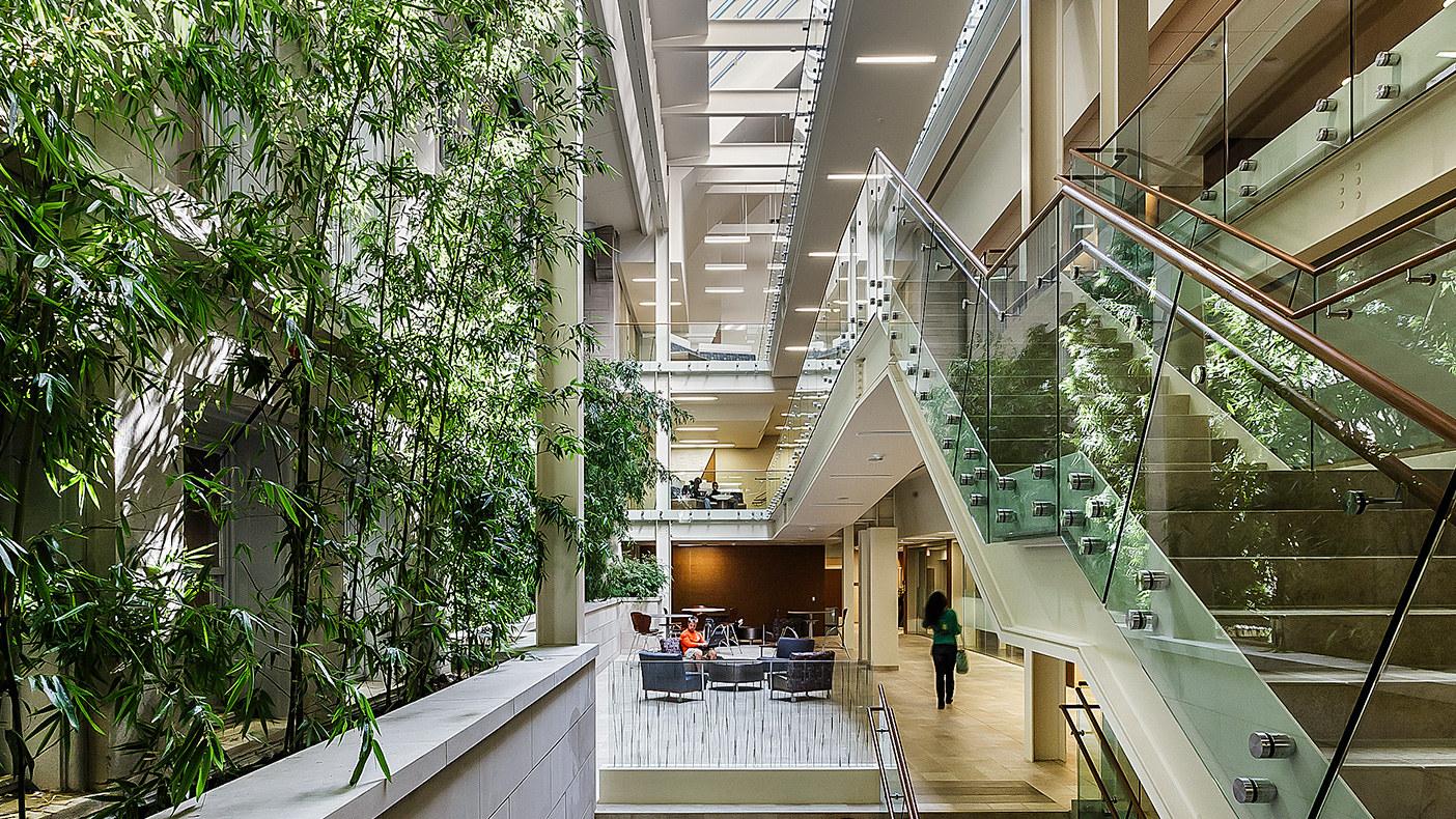 Furniture—a variety of lounge, bleacher-style, café-style, and banquette seating—in the atrium provide cues for informal interaction (photo courtesy Mark Ballogg).