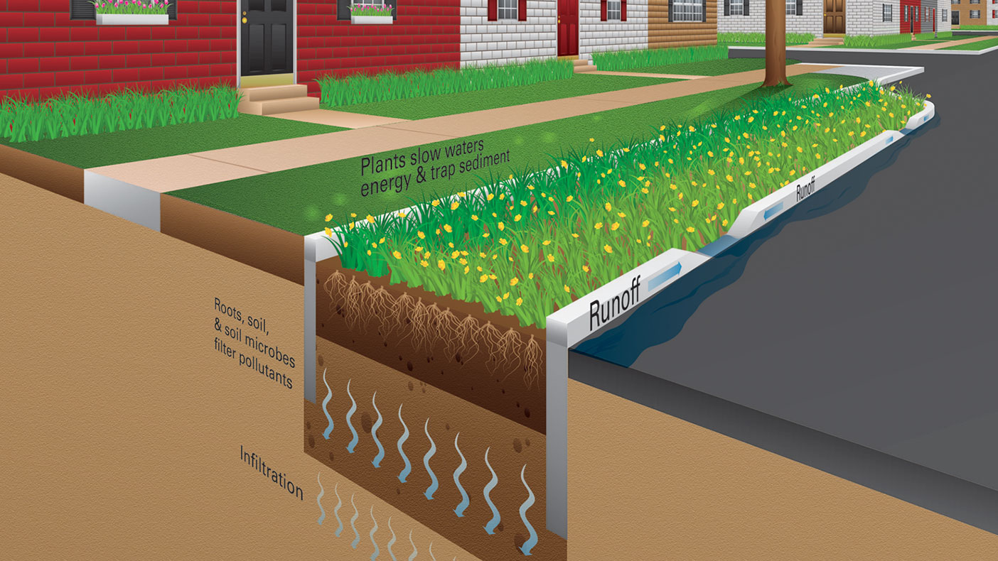 Enhancements in and around Cobbs Creek Park will provide long-term social, economic, and ecological uplift with pedestrian-friendly gateways, trailheads, and trails while integrating green stormwater infrastructure.