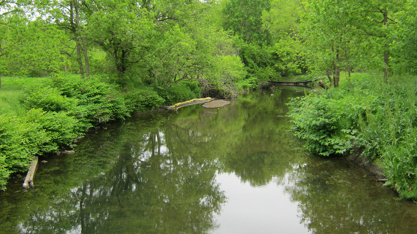 Our strategies are developed to reduce sediment load, increase floodplain connectivity, and improve stormwater wetland treatment.