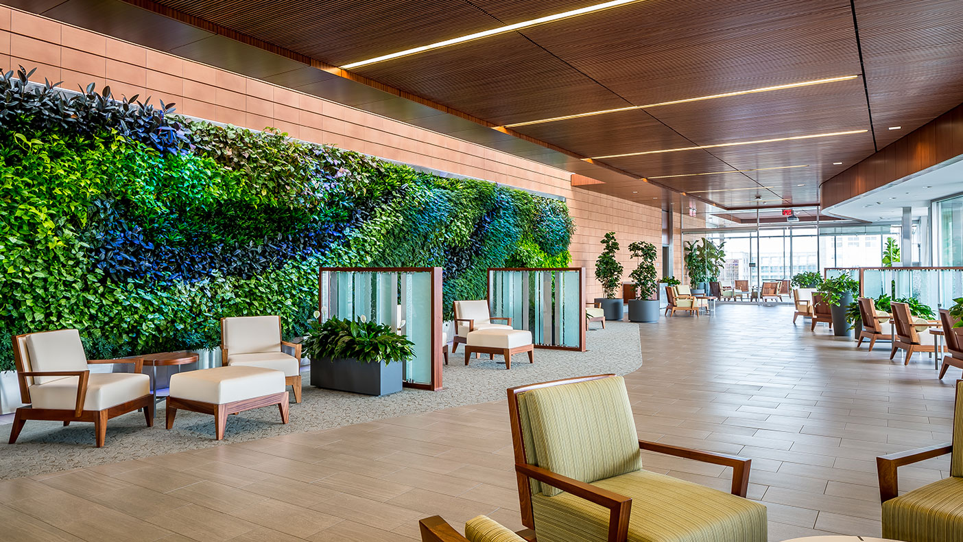 Informal meeting areas were designed to take advantage of natural light providing needed respite for staff. The living plant wall connects to users to natural elements.