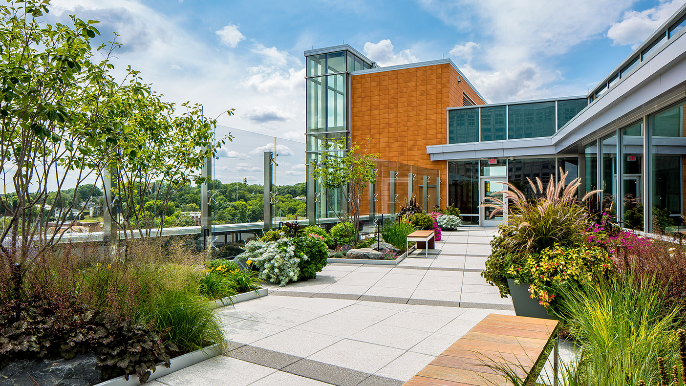 The roof terrace is a perfect place for visitors and users to relax and reflect, enjoying nature and the cityscape simultaneously. 