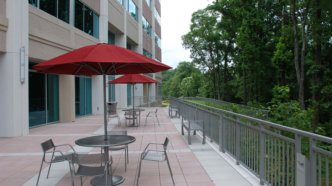 To ensure a successful community environment, public spaces including outdoor plazas opening out to green areas were created for patients and staff.