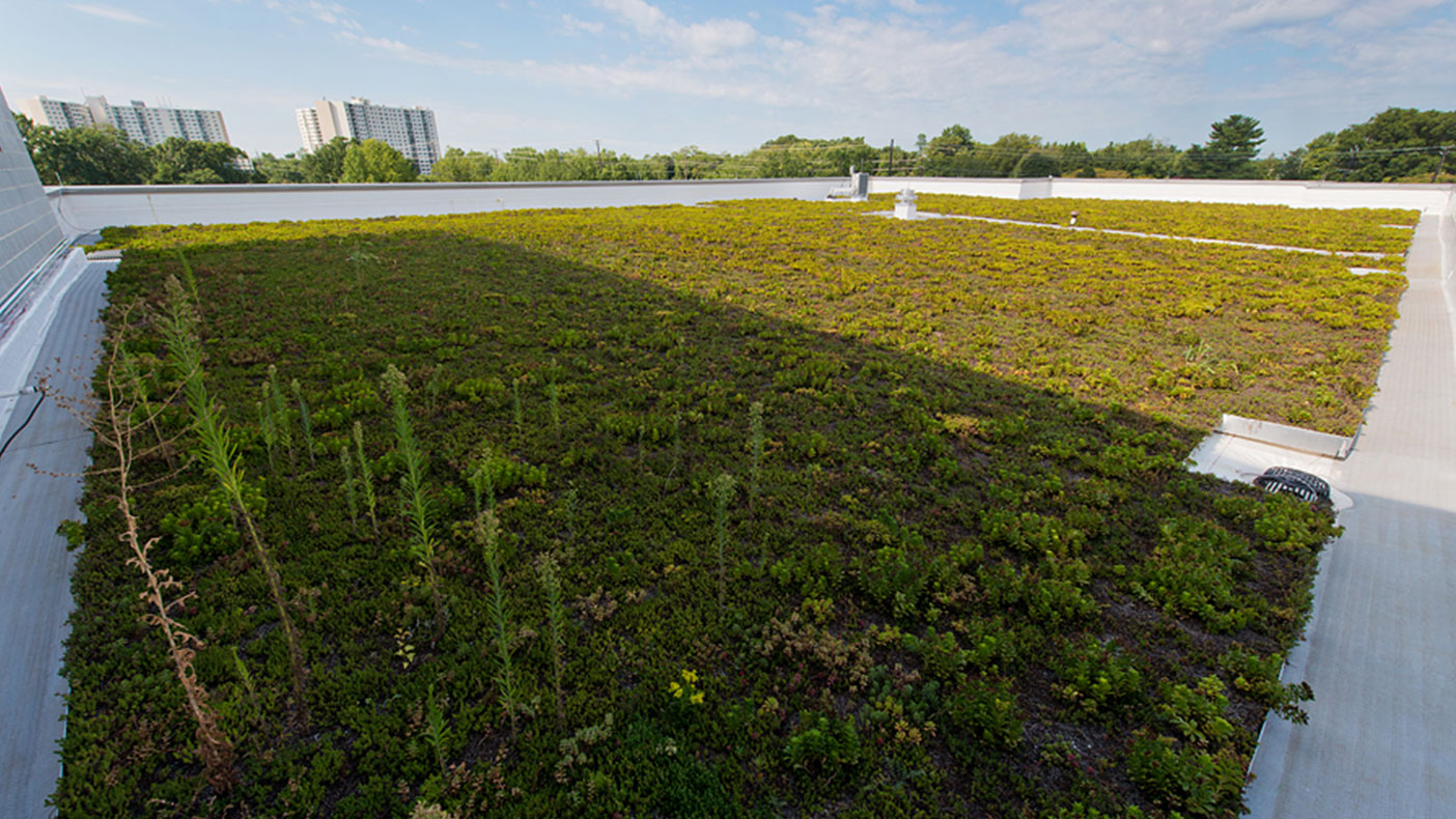 Green Roof