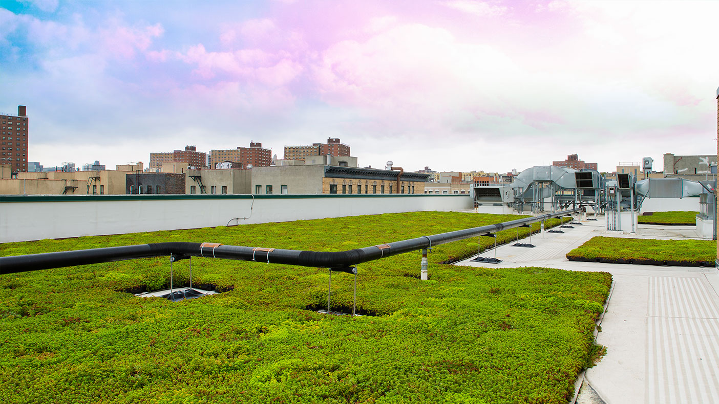 We’re responsible for evaluating the return on investment of sustainable features including the green roof.