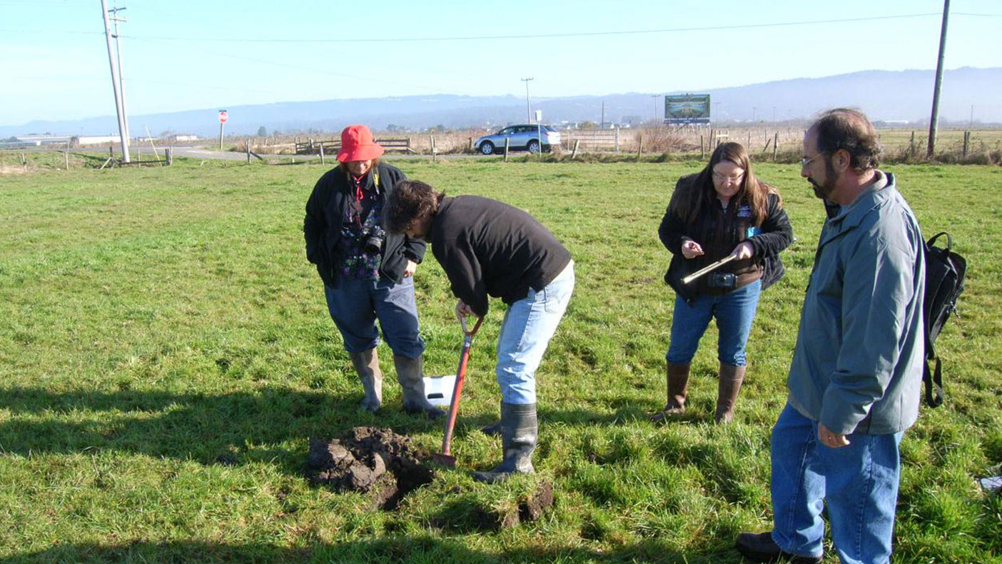 While in the field, we identified plant species, hydric soils, and hydrologic indicators to determine wetland boundaries and correct NWI classification.