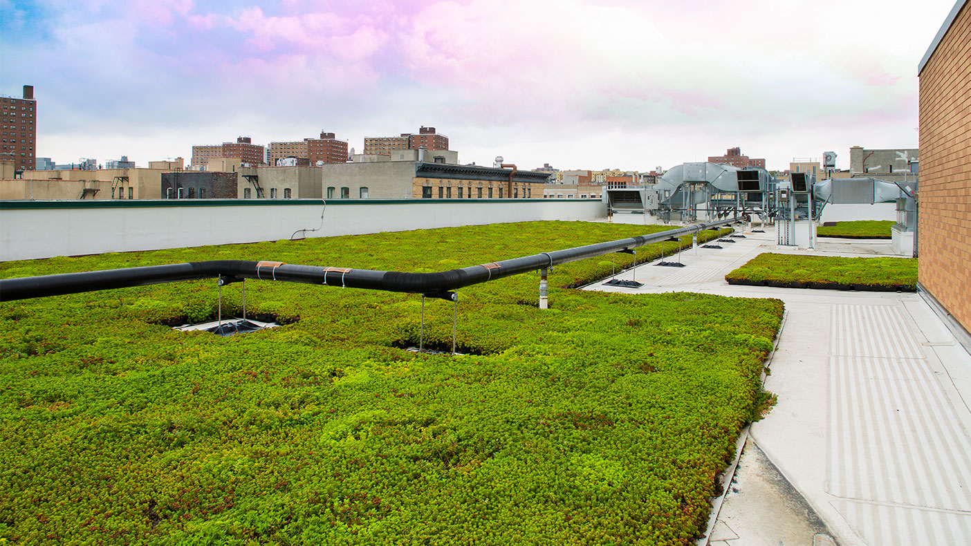 Our work included air quality consulting at the Mother Clara Hale Bus Depot in Manhattan. We were responsible for evaluating the effectiveness of the green roof in capturing particulate emissions from bus depot operations and other ambient sources.