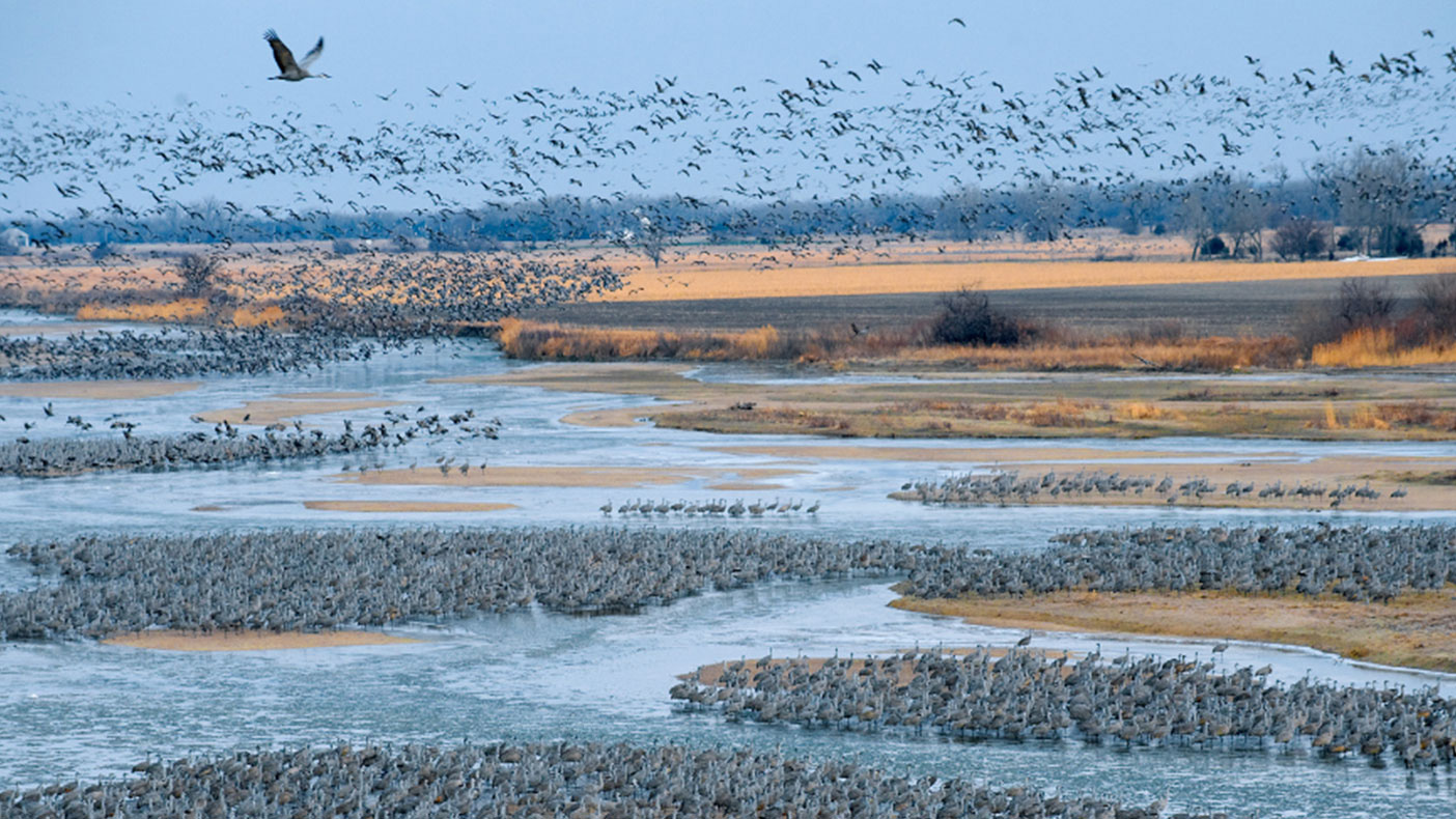 This innovative approach will improve management of the Platte River by providing reliable water supply projections and maintaining healthy ecosystems.