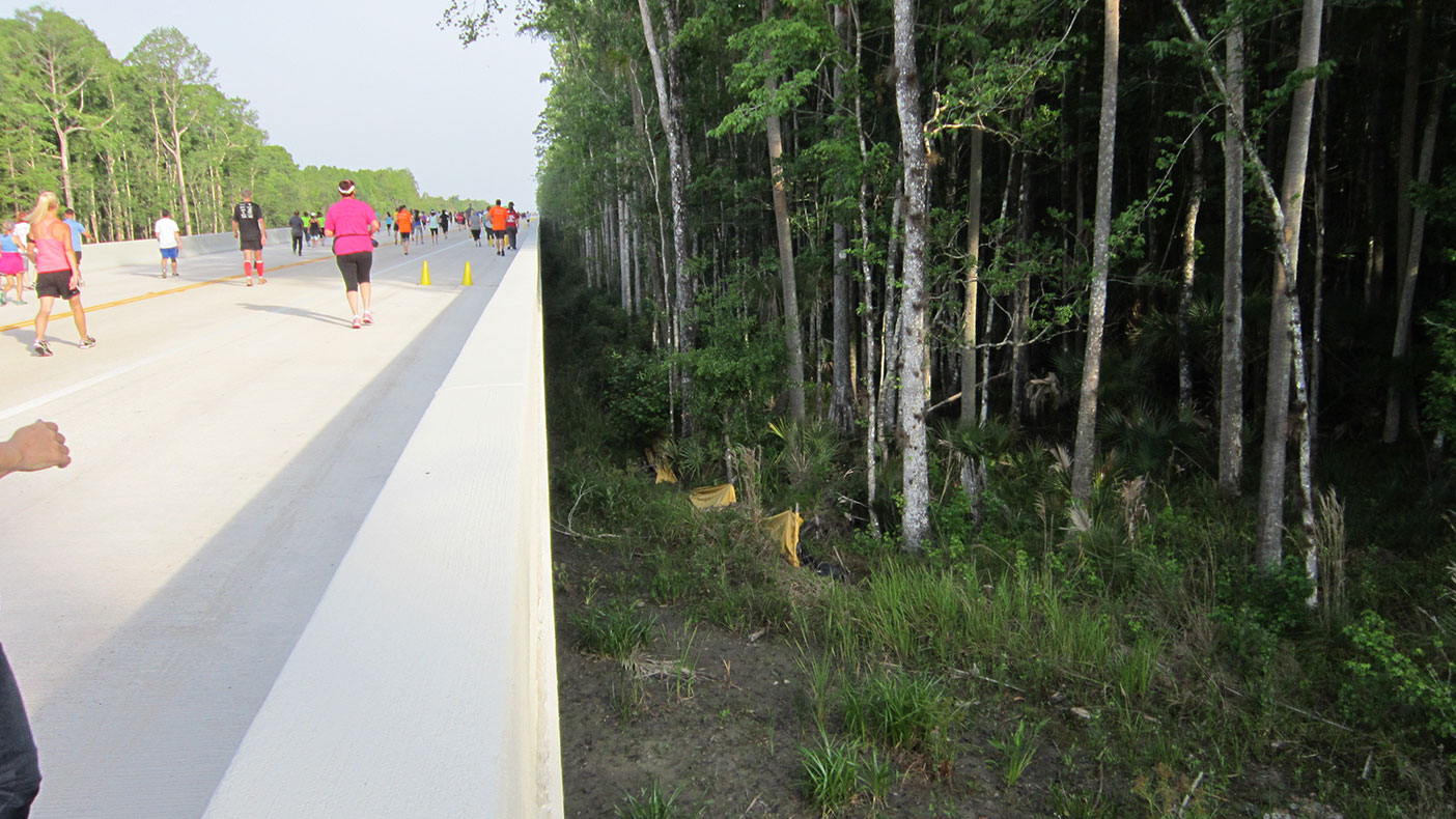 The bridge has more than 60 spans ranging in elevation from eight to 25 feet and nearly 100 feet long.