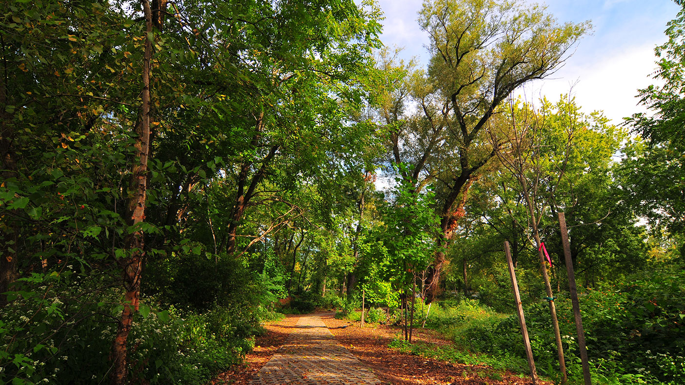 The Dundee Island Preserve previously lacked a safe way to accommodate visitors. A pathway now minimizes impervious surface through open pavers, and stone dust is used where the path is in the floodplain.