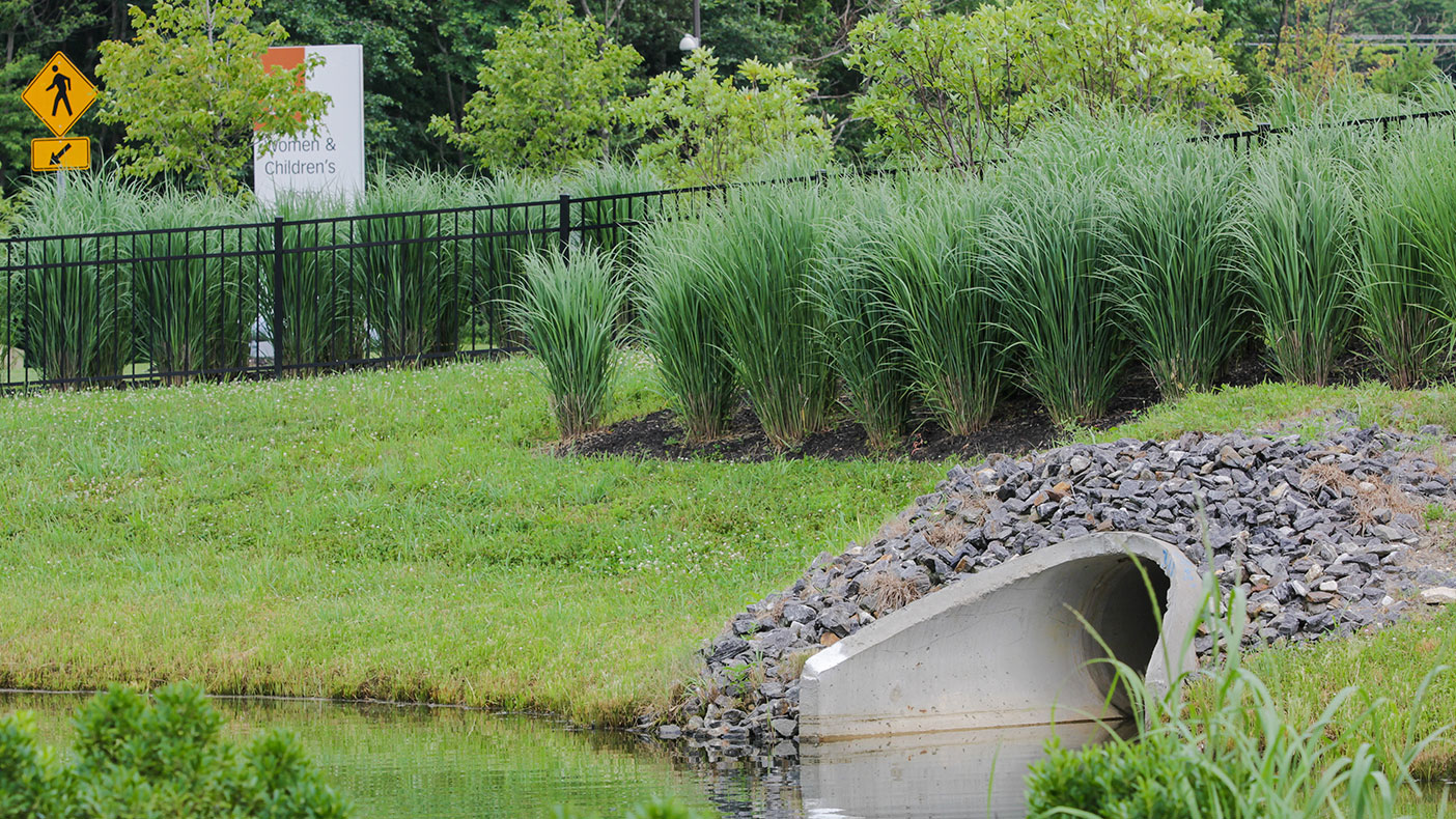 Stormwater management facilities located in prominent areas of the site were designed as naturalized water features, visible from patient areas, to promote a healing campus environment.
