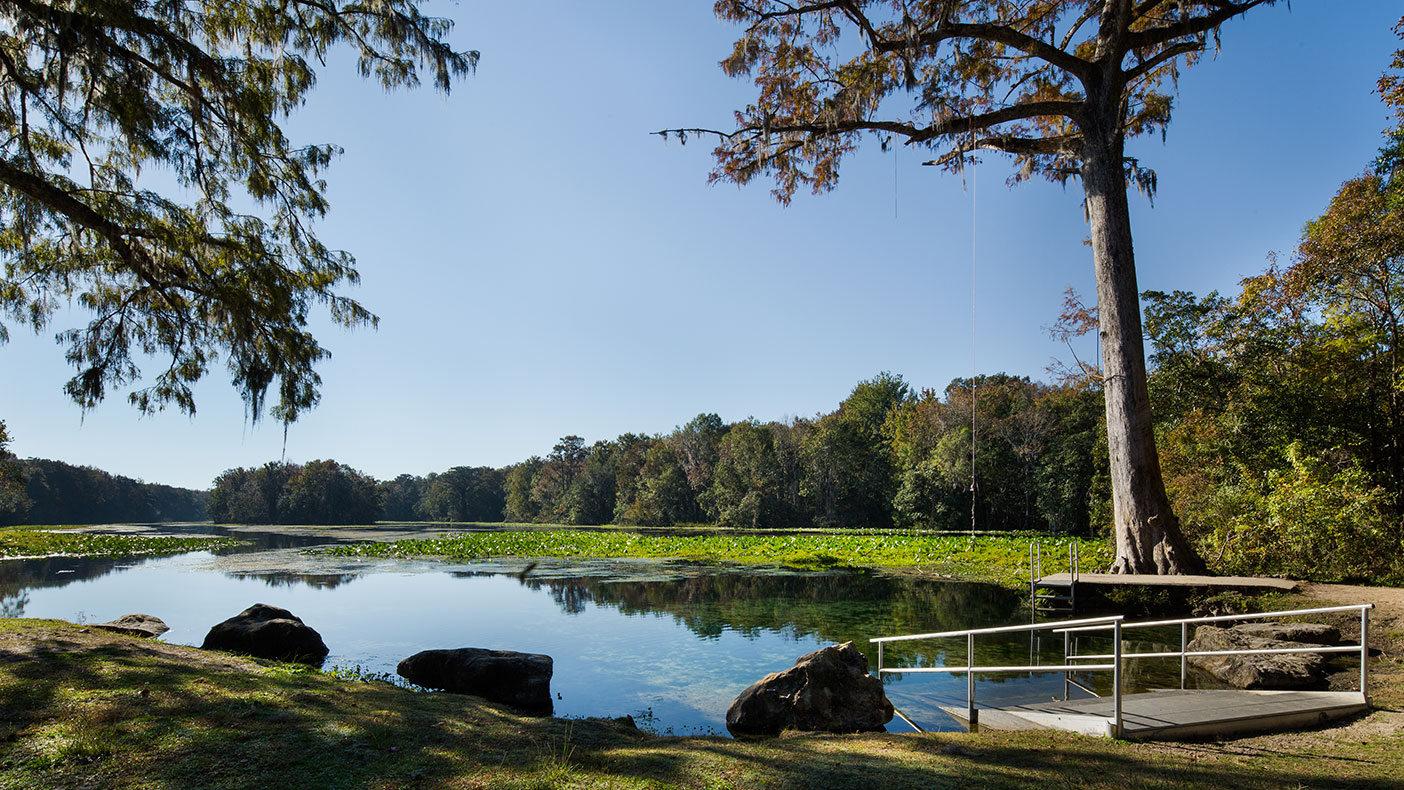 The restoration will create a desirable, natural refuge for local wildlife.