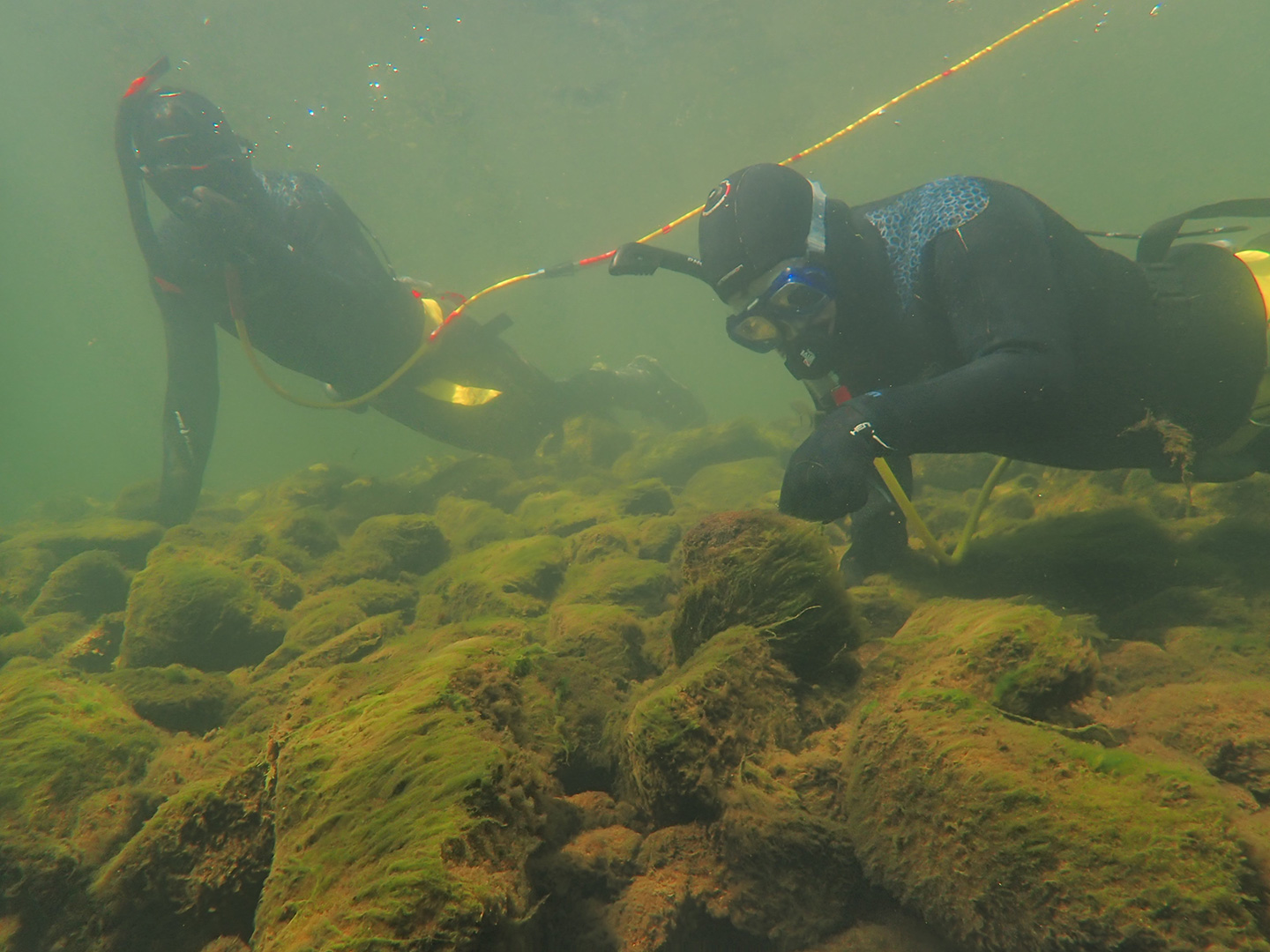 Any activity that impacts potentially suitable habitat for mussel species could require a mussel survey. For a bridge replacement project, biologists search deep water habitat for federally listed mussel species.