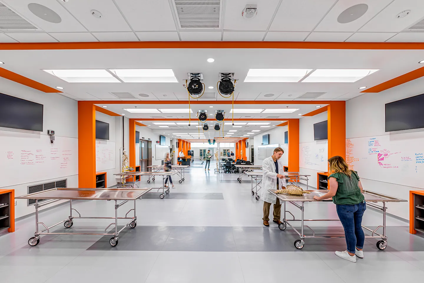 Anatomy (above) and neuroanatomy laboratories were designed to meet teaching and learning needs through modular and flexible layouts with mobile benches, workstations, and equipment that is easily reconfigurable.