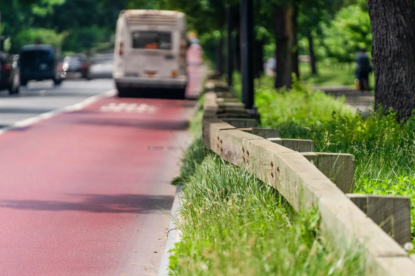 The entire length of Pelham Parkway borders with mapped parkland.